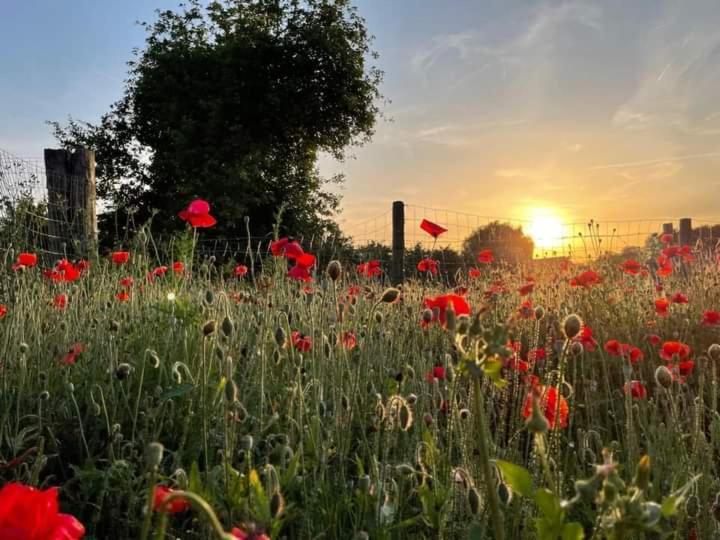 De Lokroep Heers Esterno foto